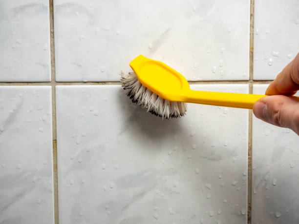 Best Mold Damage Repair  in Lannon, WI
