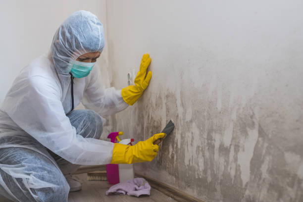 Best Mold Testing  in Lannon, WI