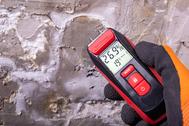 Best Commercial Mold Removal  in Lannon, WI